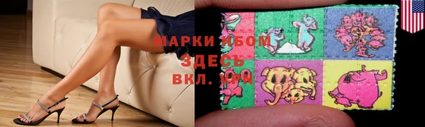 эйфоретик Аркадак