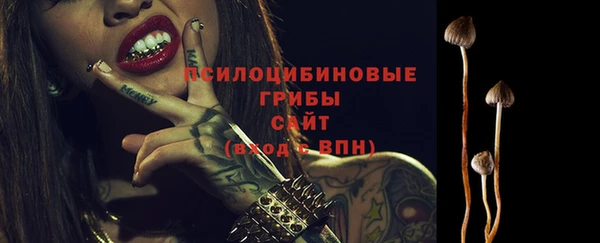 эйфоретик Аркадак
