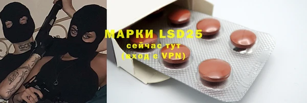 эйфоретик Аркадак