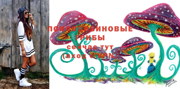 эйфоретик Аркадак